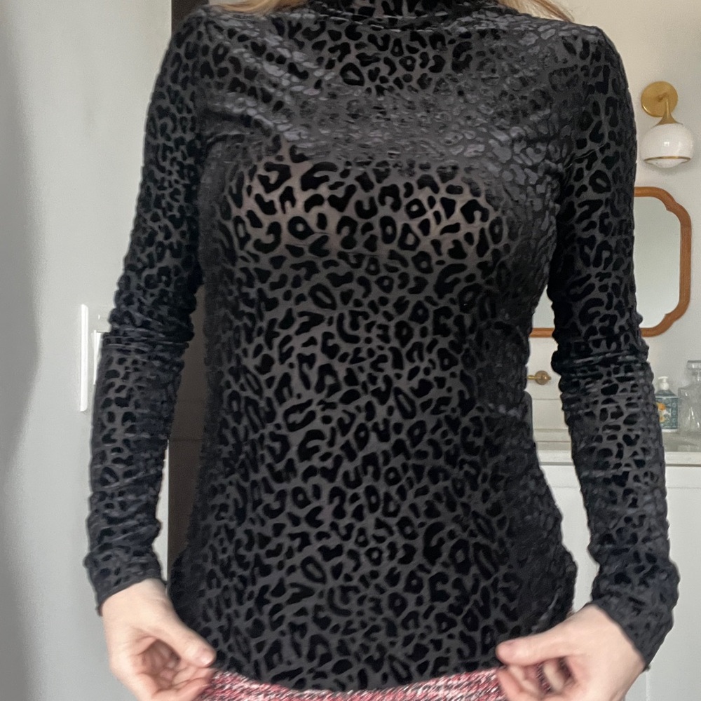 Hem & Thread Black velvet, sheer Leopard Print Top